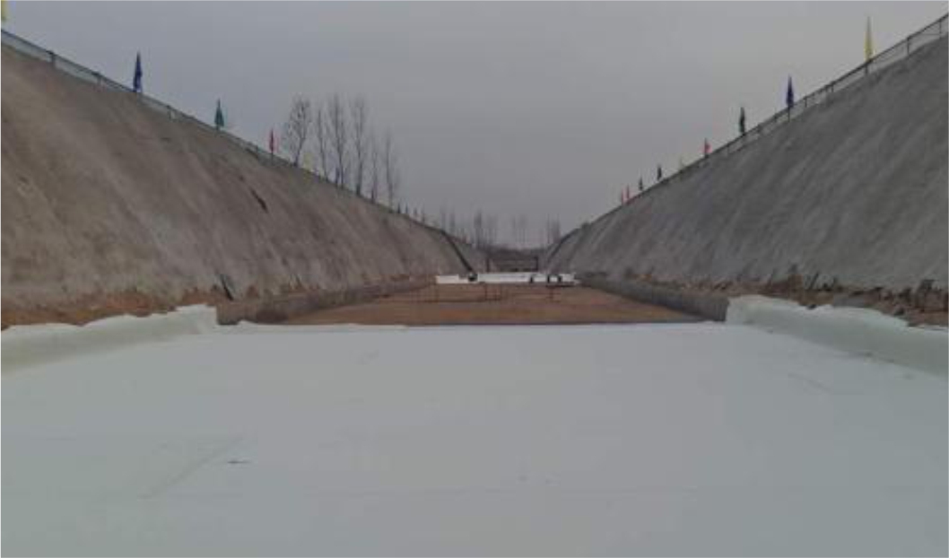 曾氏贵宾会|HOME