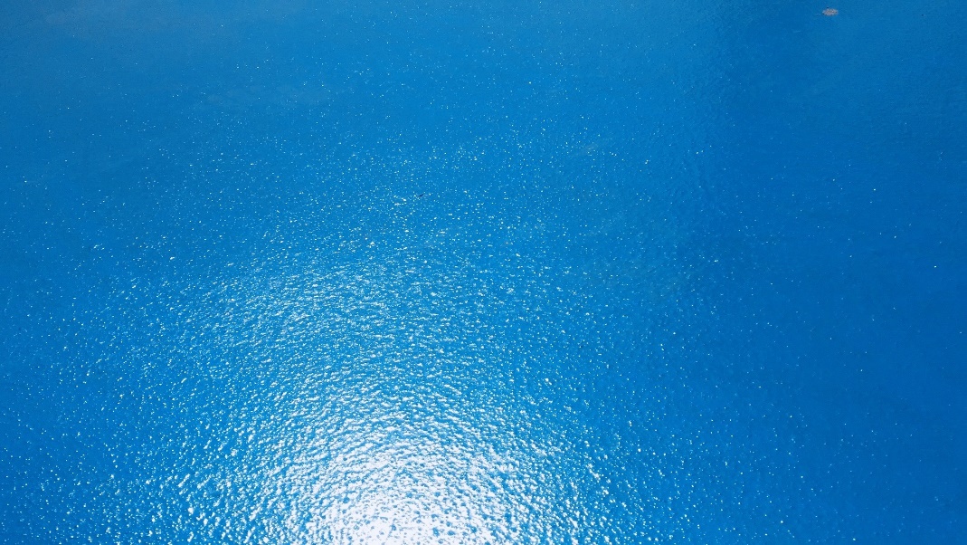 曾氏贵宾会|HOME