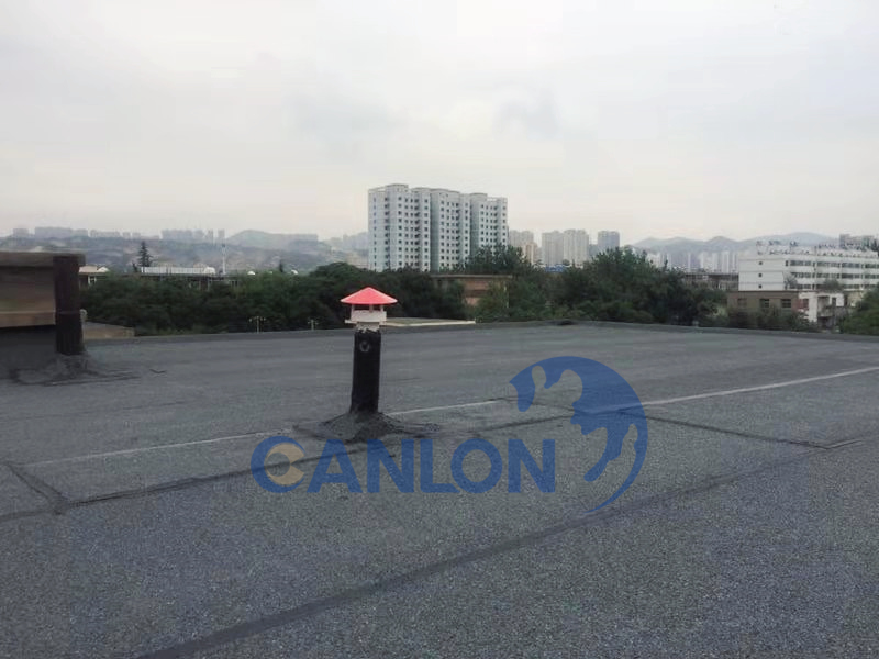 曾氏贵宾会|HOME