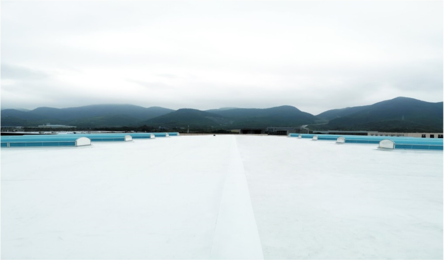 曾氏贵宾会|HOME