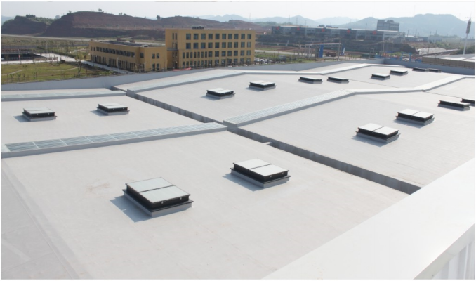 曾氏贵宾会|HOME