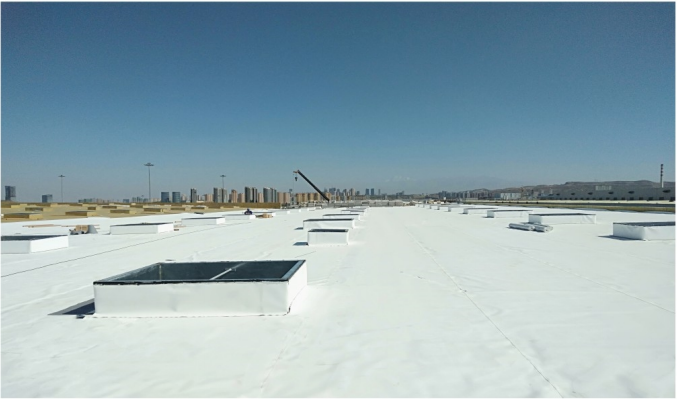 曾氏贵宾会|HOME