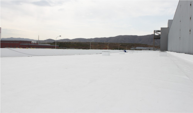 曾氏贵宾会|HOME