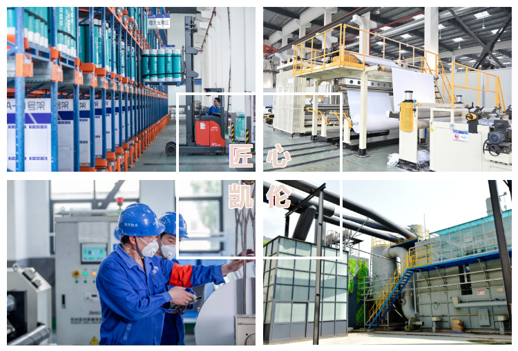 曾氏贵宾会|HOME